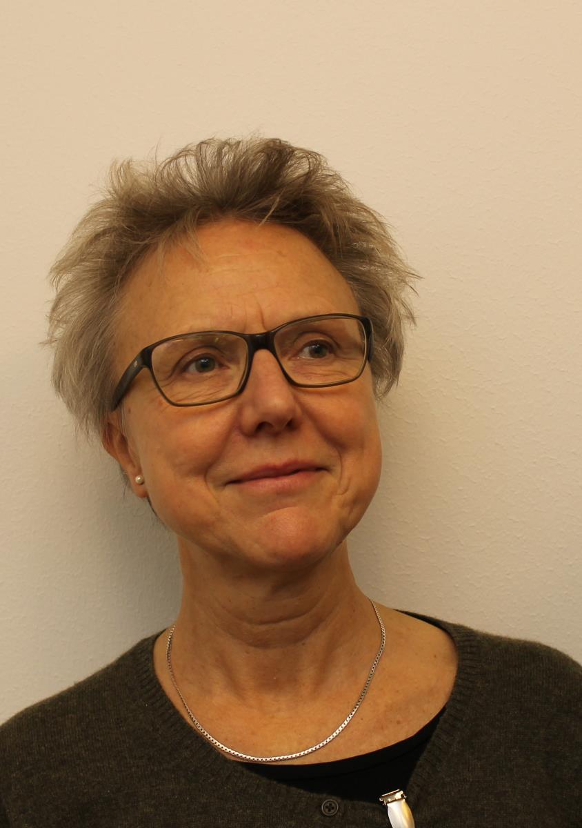 Bente Jespersen hopes that the project can lead to an increase in the number of kidney transplants, a longer period of effective functioning for the kidneys, and the need for less immunosuppressant medication, as the stem cells can have both a healing and